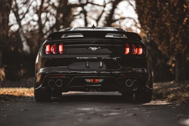 Kazino Posh Bingo Android/iOS Lietotne